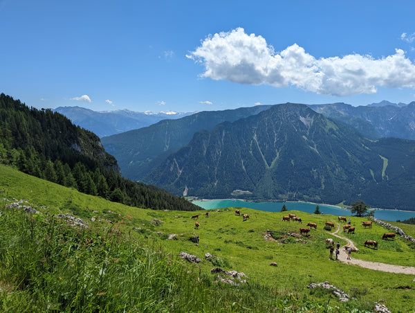 Herrliche und kinderfreundliche Bergwanderung am Achensee mit See- und Gletscherblick! 🥾⛰️☀️