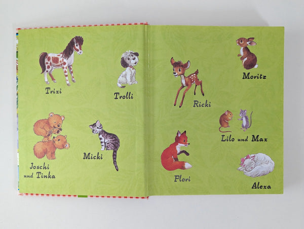 Meine schönsten Tierkinder Geschichten - Schwager & Steinlein Verlag