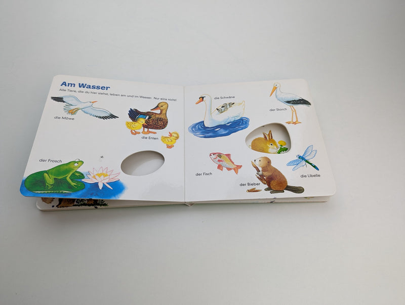 Tiere Mein erstes Gucklochbuch - arsEdition, ab 24m