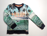 Pullover, Santa Cruz - WE, Junge Gr.98/104