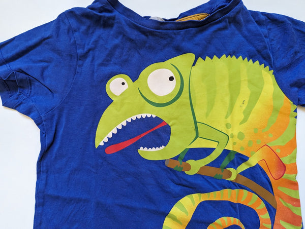 T-Shirt, Chamäleon - H&M, Junge Gr.98/104